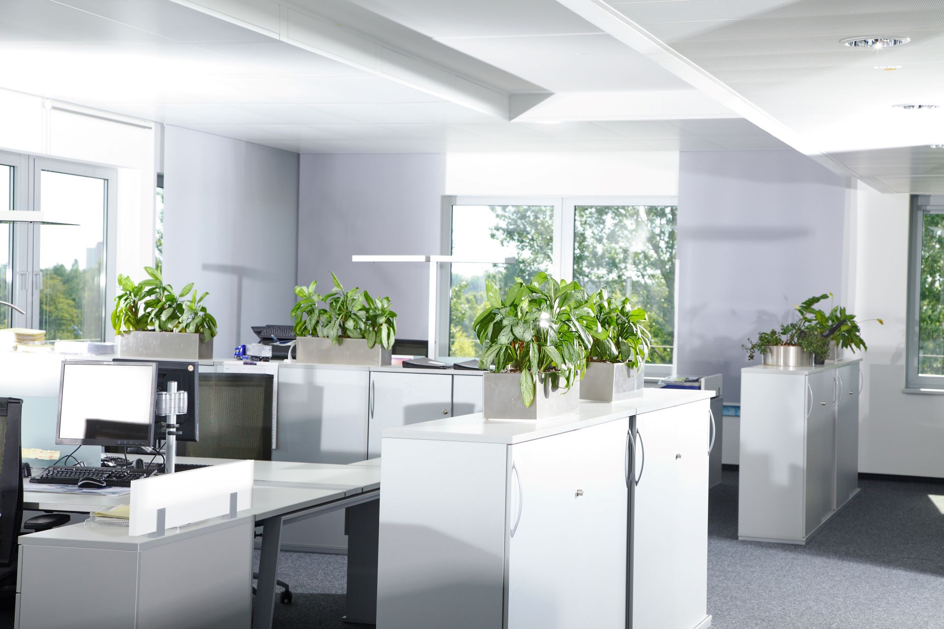 Resume Writing Services Gagebrook TAS